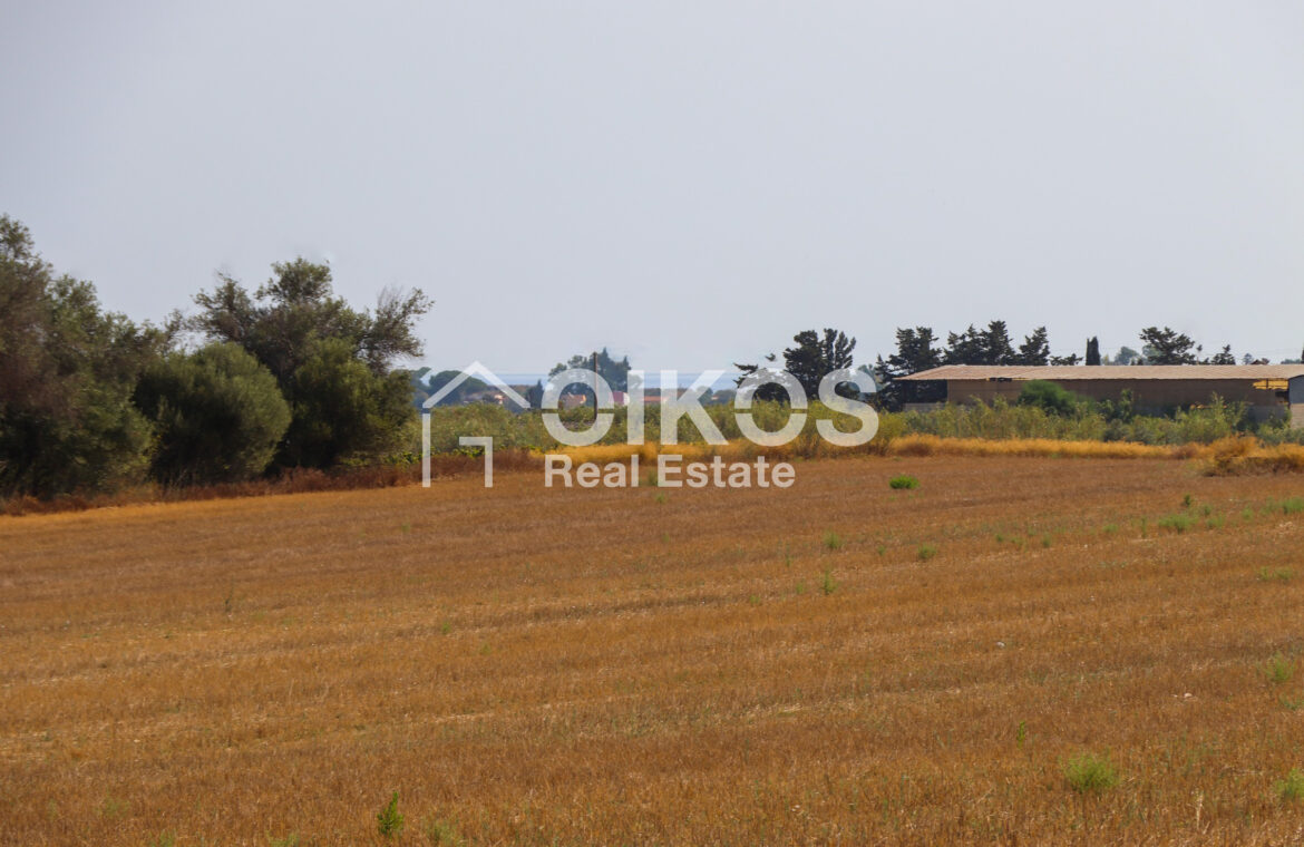 Terreno Agricolo San Lorenzo05